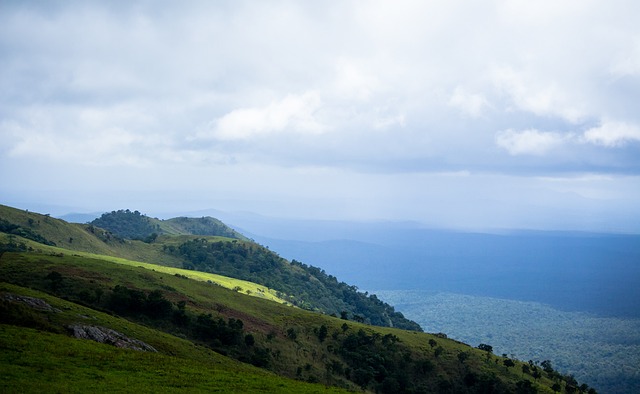 遗憾的是 遗憾的是
