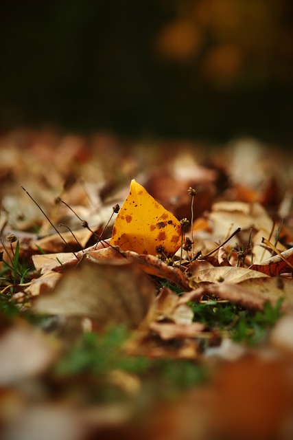 球赛事加强 球赛事加强