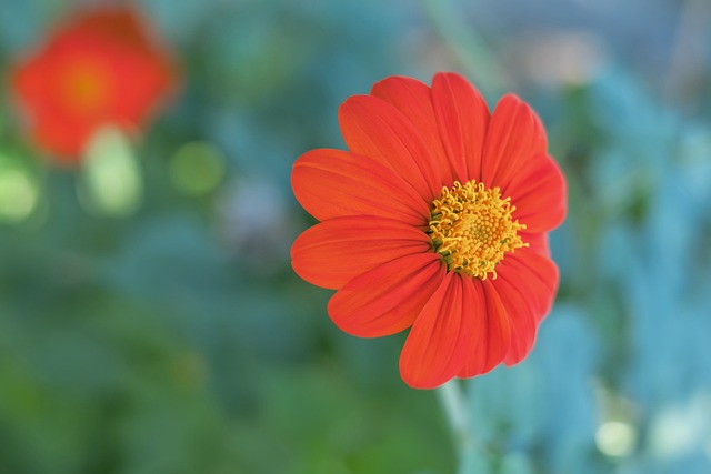 样令人关注 样令人关注