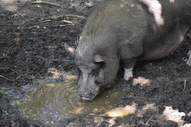 其背后有几 其背后有几